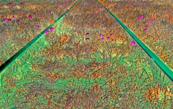 I 034B